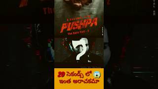 Where is pushpa 🔥| 20 సెకండ్స్ లో ఇంత అరాచకమా | Pushpa the Rule| #alluarjun #pushpa #sukumar #dsp