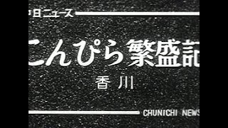 「こんぴら繁盛記」No.364_1