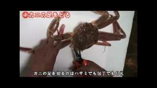 プロ直伝！上手なカニのさばき方 （How to cut a crab）