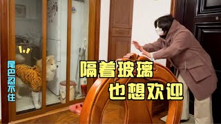 安全起见狗狗隔着玻璃欢迎外婆，可是尾巴忍不住先摇起来啦