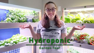 Hydroponic Garden Tour | New Tomato Taste Test! | October 2024