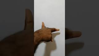 Fleming's left hand rule.ෆ්ලෙමිං ගේ වමත් නීතිය