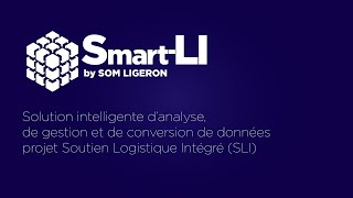 Découvrez Smart-Li, la solution polyvalente de gestion des données SLI