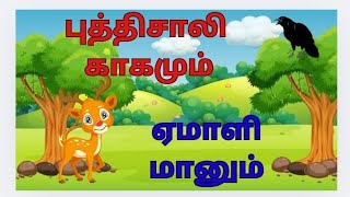 The clever crow and the innocent deer / புத்திசாலி காகமும் ஏமாளி மானும் /  crow and deer