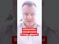 Волонтёры мошенники откуда деньги