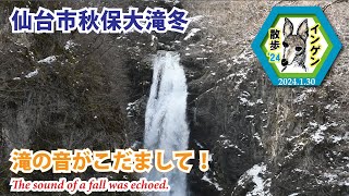 インゲン散歩'24 仙台市秋保大滝冬　滝の音がこだまして！　2024.1.30(The sound of a fall was echoed.)