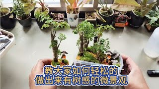 教大家如何轻松的做出来有树感的微景观 Teach everyone how to easily create micro landscapes with a tree like feel