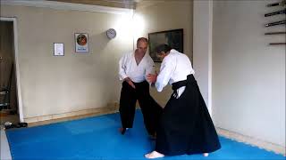 Aikido Intermediate level - Henka waza - Aikido Budoshin Mar del Plata