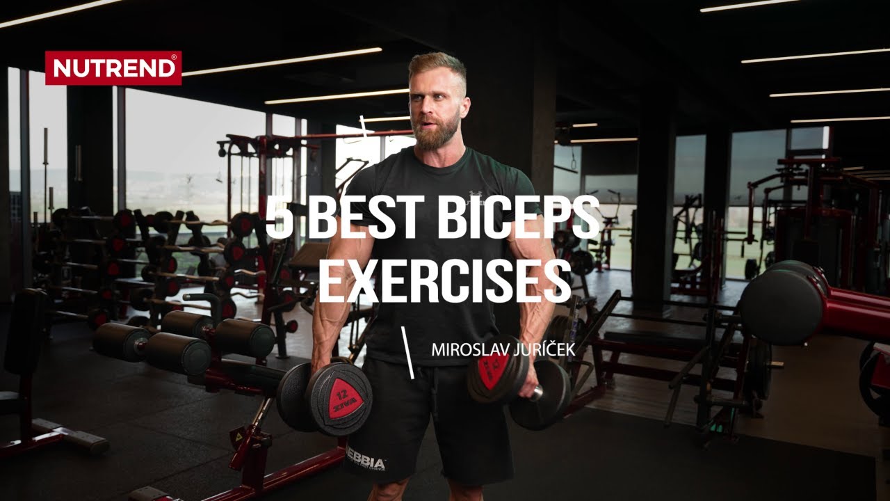 5 Best Biceps Exercises Youtube