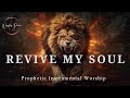 Prophetic Warfare Instrumental Worship/REVIVE MY SOUL/Background Intercession Music