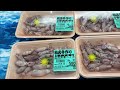 道の駅笠岡ベイファーム直売所鮮魚コーナー５／１２