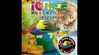 IGNITE Mastermind session- Creating a successful art practice