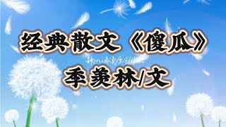 经典散文欣赏：《傻瓜》智者之言，人性真理！作者：季羡林