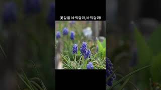 어울리지않는 꽃말을 가진