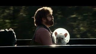 Zach Galifianakis in \