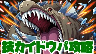 【決戦！近海の主！★9】ロックスター大活躍！？技カイドウパで楽々攻略！！！