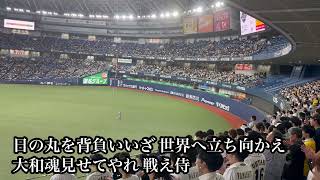 【1年ぶり】侍ジャパン ヌートバー (侍汎用)応援歌 【カーネクスト侍ジャパンシリーズ2024】 2024.03.06 vs欧州連合🇪🇺