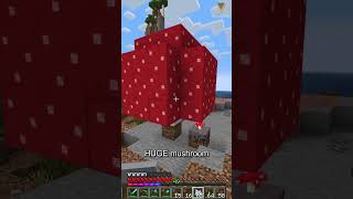 How to Grow Mushrooms in Minecraft | Minecraft Server Hosting