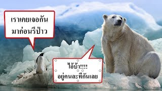 12 เรื่องจริงของขั้วโลกเหนือและขั้วโลกใต้ ที่คุณอาจไม่เคยรู้มาก่อน