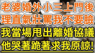 老婆婚外小三上門後！理直氣壯罵我不要臉！我當場甩出離婚協議！他哭著跪著求我原諒！#生活經驗 #情感故事 #深夜淺讀 #幸福人生