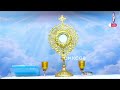 eucharistic miracles day 17 miracle of siena br. prakash dsouza 17th jan 2025