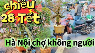 CHỢ HOA CÂY CẢNH / LONG BIÊN HÀ NỘI - VẮNG KHÁCH ,, THƯƠNG LÁI KHÓ KHĂN