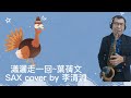 瀟灑走一回~原唱葉蒨文~saxphone cover薩克斯風演奏by李清淵d調