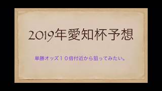 2019年愛知杯予想