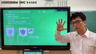 【家庭学習のおたすけ15】中学１年生　理科　根のつくりとはたらき、葉のつくり（P26〜P28、P32）