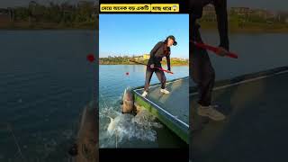 দেখুন এই মেয়েটি এসেই অনেক বড় একটি মাছ ধরে। #shorts #fishing #river #girl