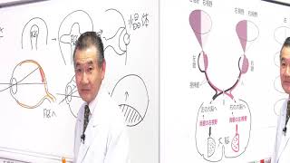 映像授業　高校とってもやさしい生物　第9回　視交さについて理解しよう