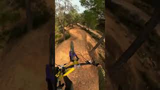 these jumps are MASSIVE  #mtb #downhillmtb #mtbforyou #mtblife #mtbtrails #bikepark