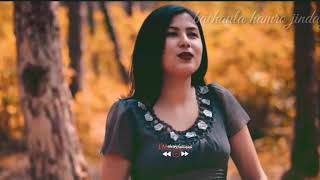 Chitti bhitra lazzu shrestha Facebook status video