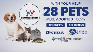 Successful 'Clear the Shelters' event at Southeast Texas Humane Society sees 28 total animals adopte
