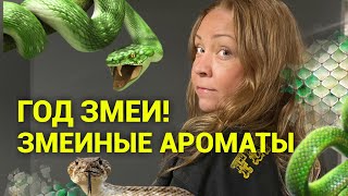 С годом змеи! Змеиные ароматы, магические🖤