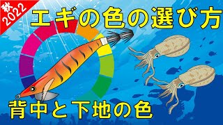 【エギの色の選び方】状況に合わせる背中の色と下地の色