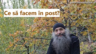 Ce să facem în post? - p. Pimen Vlad