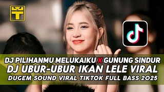 DJ UBUR UBUR IKAN LELE ‼️DUGEM SOUND VIRAL TIKTOK 2025 ‼️ DJ PILIHANMU MELUKAIKU X DJ GUNUNG SINDUR