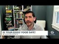 consumer reports tests dog food brands