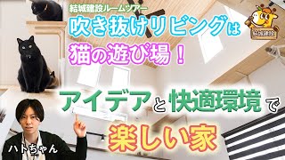 【ルームツアー】2階建て/30.8坪/2LDK　吹き抜けのリビングは猫の遊び場！アイデアと快適環境で楽しい家