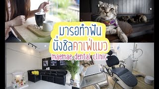 MaeMae Dental Clinic แมแมเดนทัลคลินิก เชียงราย