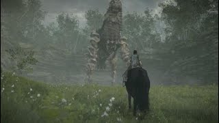 SHADOW OF THE COLOSSUS - One touch, daring detour, horse surfin'