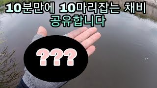 [리에브] 여자친구.입문자에게 좋을 배스 1타1피 채비 공유합니다