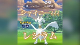 【ポケモンGO】レシラム色違い高個体値ゲットだぜ！#shorts