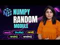L-12 NumPy Random Module Explained | rand(), randn(), randint(), seed(), shuffle() (Full Tutorial)
