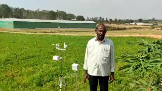 Kisan Talks: Hosur farmer discussing climate changes!