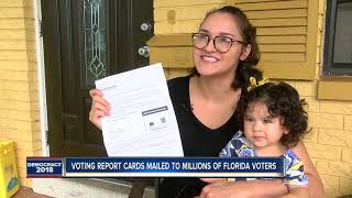 Tampa Bay voters stunned by 'voting report cards' in mail