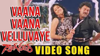 Vaana Vaana Velluvaye Full Video Song | Gang Leader | Chiranjeevi | VijayaShanti | E3 Talkies