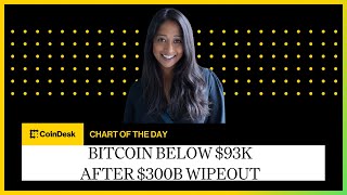 Bitcoin Below $93K After $300B Wipeout