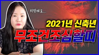 2021년 신축년 운세 미리 알고 조심해요!!! 완전 쪽박띠💥 양띠 말띠 원숭이띠 토끼띠 뱀띠 돼지띠 개띠 범띠 닭띠 소띠 쥐띠 중 어느띠 ?